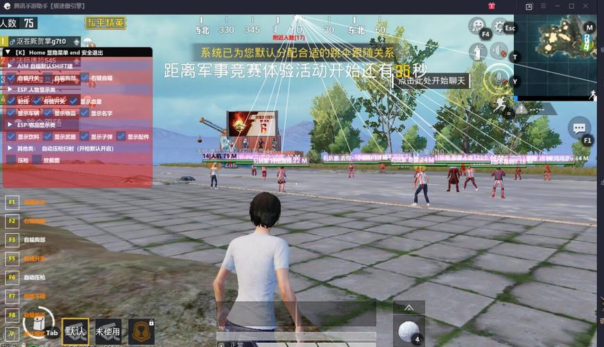 和平精英《太极》辅助