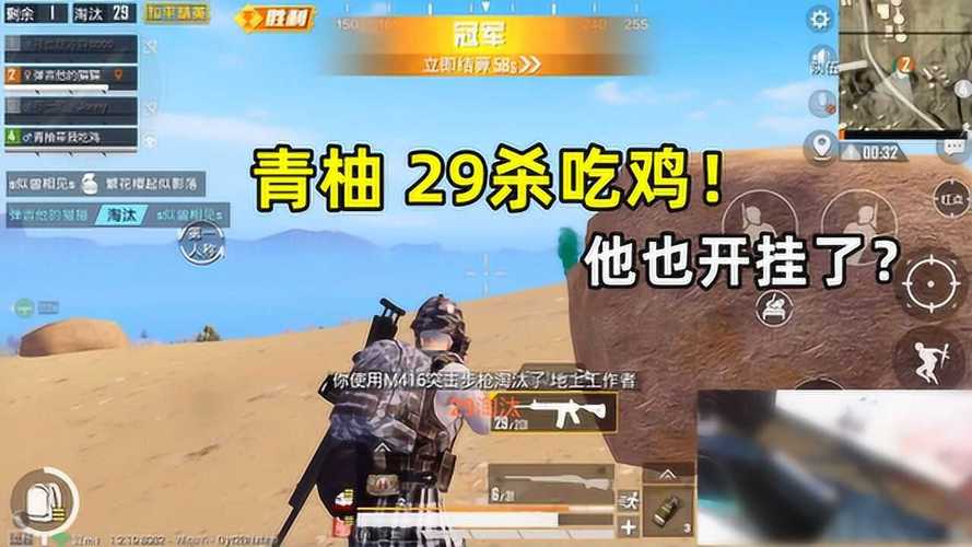 和平精英《火锅》辅助